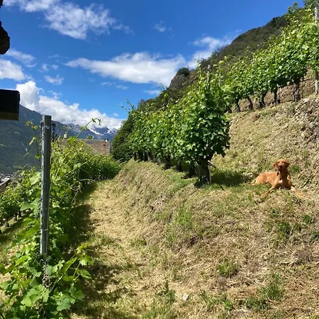 Appartamento Casa Vanda *